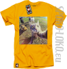Kot Selfie Foto - koszulka męska - Żółty